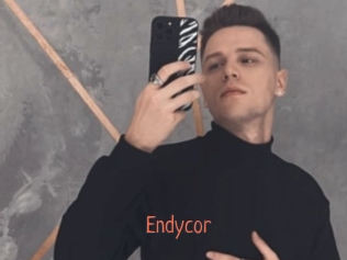 Endycor