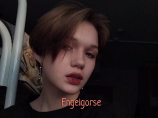 Engelgorse