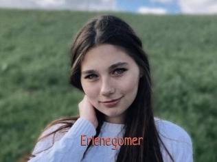 Erlenegomer