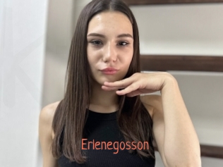 Erlenegosson