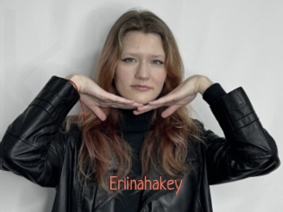 erlinahakey Kachou Fuzoku