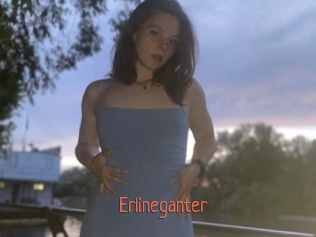 Erlineganter
