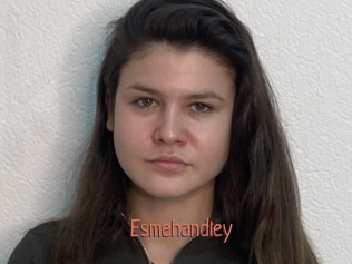 Esmehandley