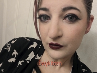 Evvykitten
