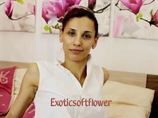 Exoticsoftflower