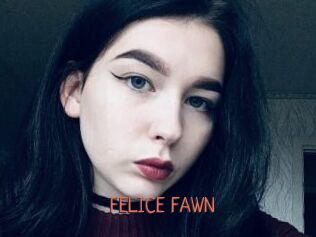 FELICE_FAWN