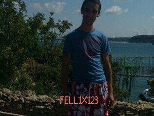 FELL1X123