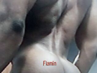 Flamin
