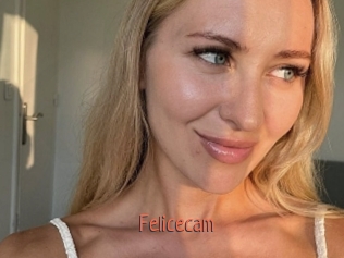 Felicecam