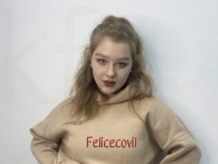 Felicecovil