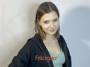 Felicegaler