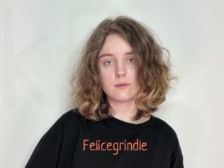 felicegrindle Kachou Fuzoku