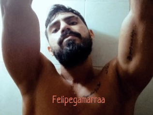 Felipegamarraa