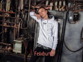 Felixburt