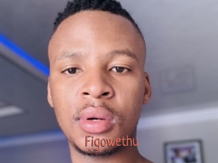 Figowethu