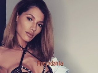 Freyadahlia