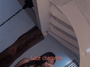 Gate_charlotee