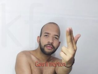 Gavril_morton