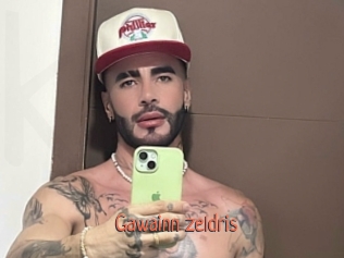 Gawainn_zeldris