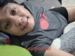 Georgedammer