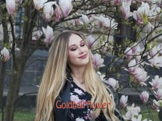 Goldhairflower