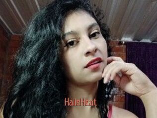 HalleHeat