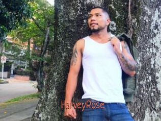 HarveyRose