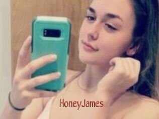 HoneyJames Kachou Fuzoku