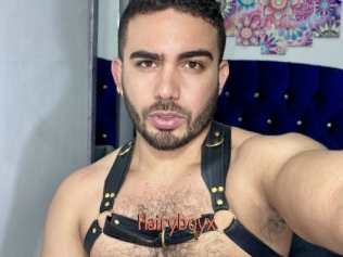 Hairyboyx