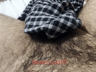 Hammercockk99