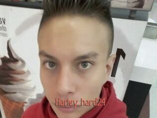Harley_hard24