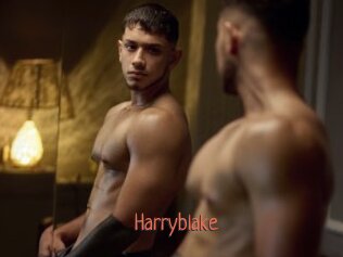 Harryblake