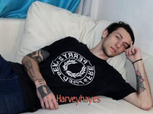 Harveyhayes