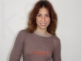 Hildagaler