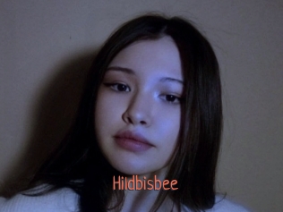 Hildbisbee