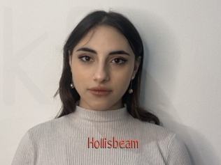 hollisbeam Kachou Fuzoku