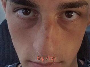 hop_drop Kachou Fuzoku
