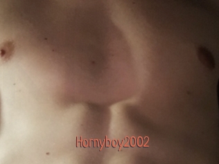 Hornyboy2002