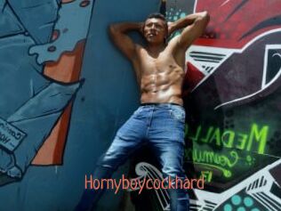 Hornyboycockhard
