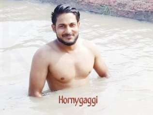 Hornygaggi