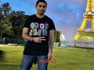 Hoss301