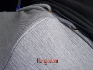 hungadam Kachou Fuzoku