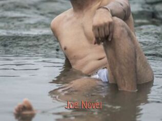 Joe_Novel Kachou Fuzoku