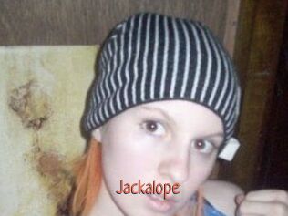 Jackalope