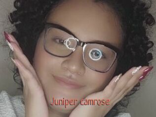 Juniper_camrose
