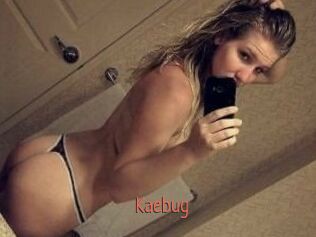 Kaebug