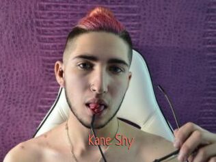 Kane_Shy Kachou Fuzoku