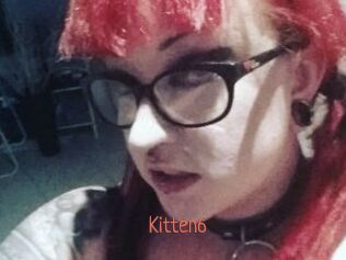 Kitten6