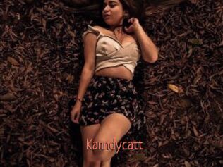 Kanndycatt