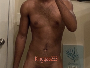 Kingqaa233